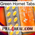 Green Hornet Tabs new05